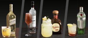  | COCTEL ARTICUO PORATARTSADA