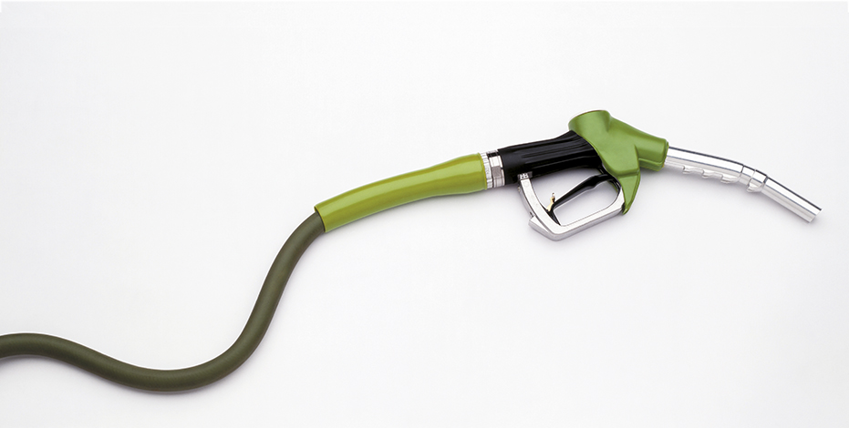 ESPECIALES | Desafío Ecológico ESPECIALES | Desafío Ecológico