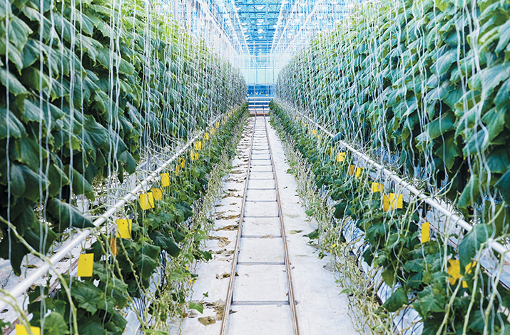 ESPECIALES | AGROTECNOLOGÍA: EL CAMPO PANAMEÑO SE DIGITALIZA ESPECIALES | AGROTECNOLOGÍA: EL CAMPO PANAMEÑO SE DIGITALIZA