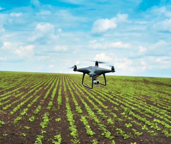 ESPECIALES | AGROTECNOLOGÍA: EL CAMPO PANAMEÑO SE DIGITALIZA ESPECIALES | AGROTECNOLOGÍA: EL CAMPO PANAMEÑO SE DIGITALIZA
