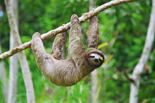  | AdobeStock_2564137_ger