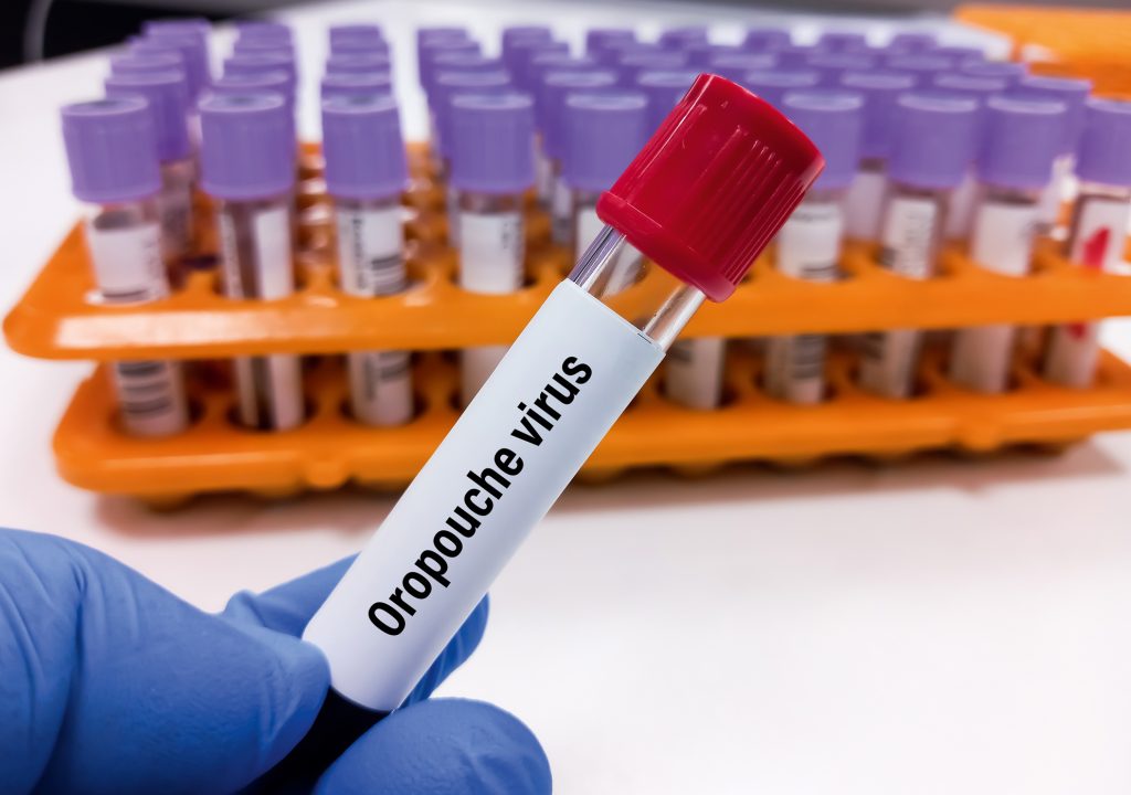 SALUD  | Fiebre de Oropouche en Panamá