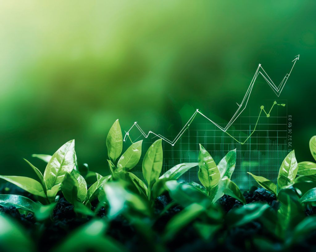 Uncategorized  | ECONOMÍA SOSTENIBLE