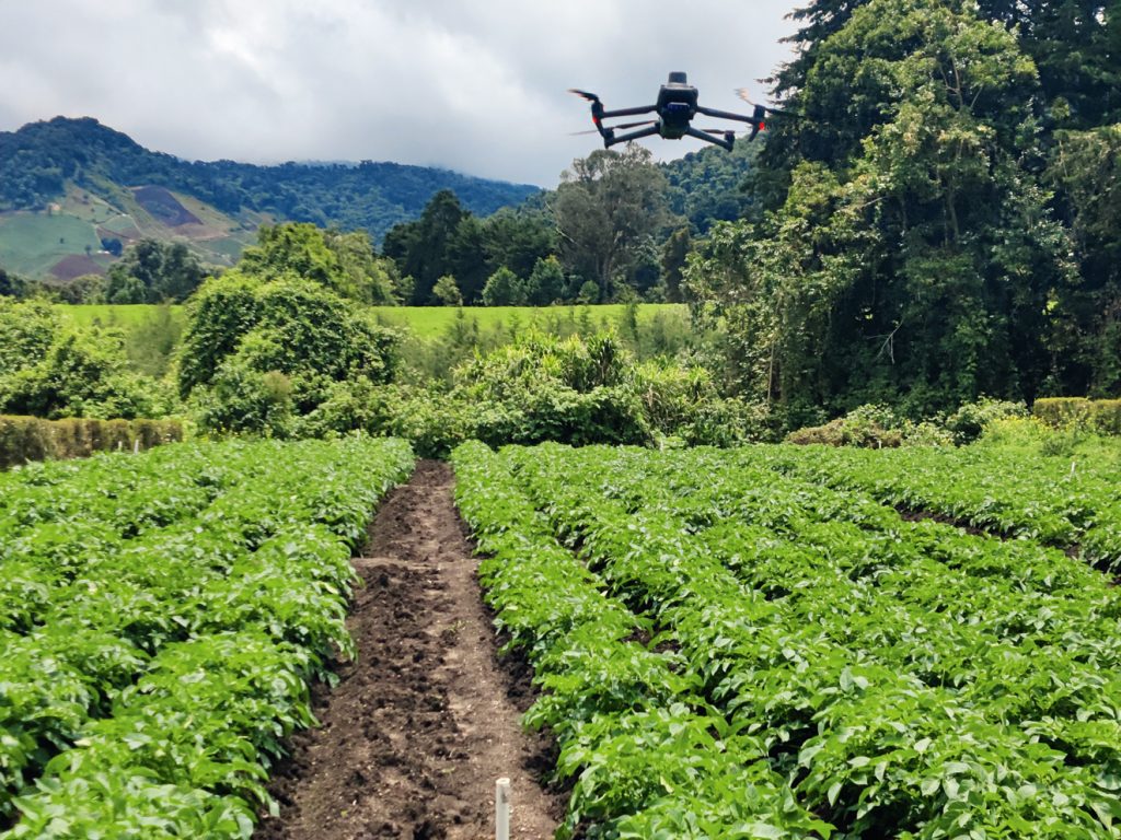 LIFESTYLE  | AGRICULTURA DE PRECISIÓN | TELEDETECCIÓN