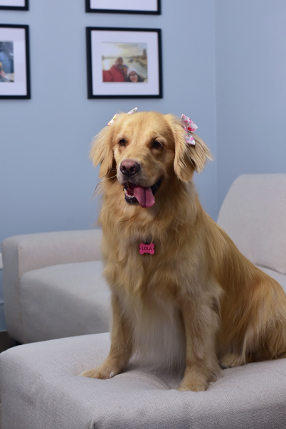 PET'S LIFE  | “Lola no camina... ¡Arrasa!” | LANNA BERMÚDEZ