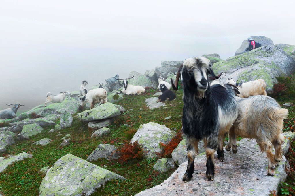 DESTINOS  | MONTAÑAS KAÇKAR | TESORO TURCO
