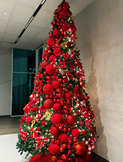 ESPECIALES  | ESPECIAL FIN DE AÑO