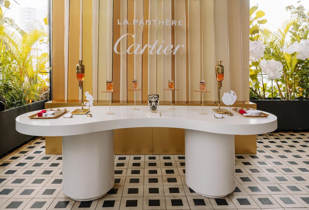 EVENTOS | HOMENAJE A LA ELEGANCIA FELINA EVENTOS | HOMENAJE A LA ELEGANCIA FELINA