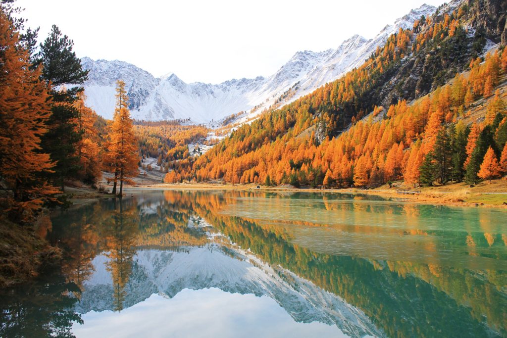 DESTINOS | SUEÑO INVERNAL DESTINOS | SUEÑO INVERNAL