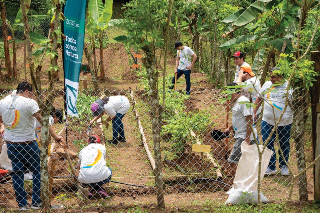 EMPRESARIALES  | Voluntariados desde el Corazón: Transformando comunidades, inspirando futuro.