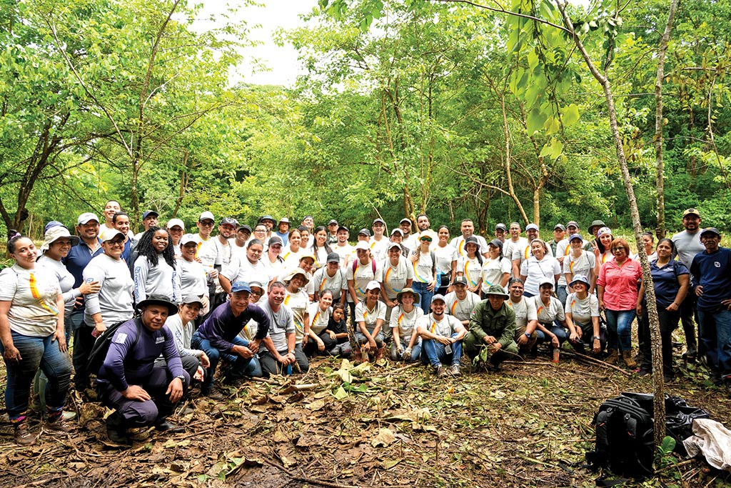 EMPRESARIALES  | Voluntariados desde el Corazón: Transformando comunidades, inspirando futuro.