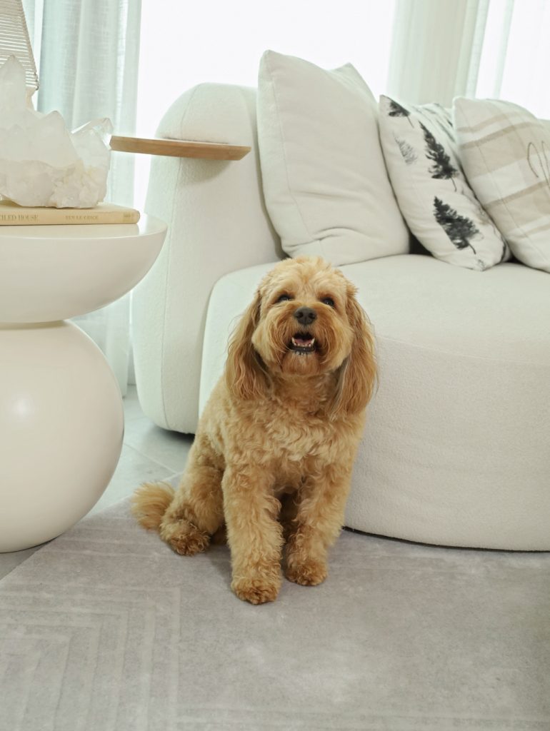 PET'S LIFE  | “Es una relación muy profunda” | CARINA ALTAMIRANO