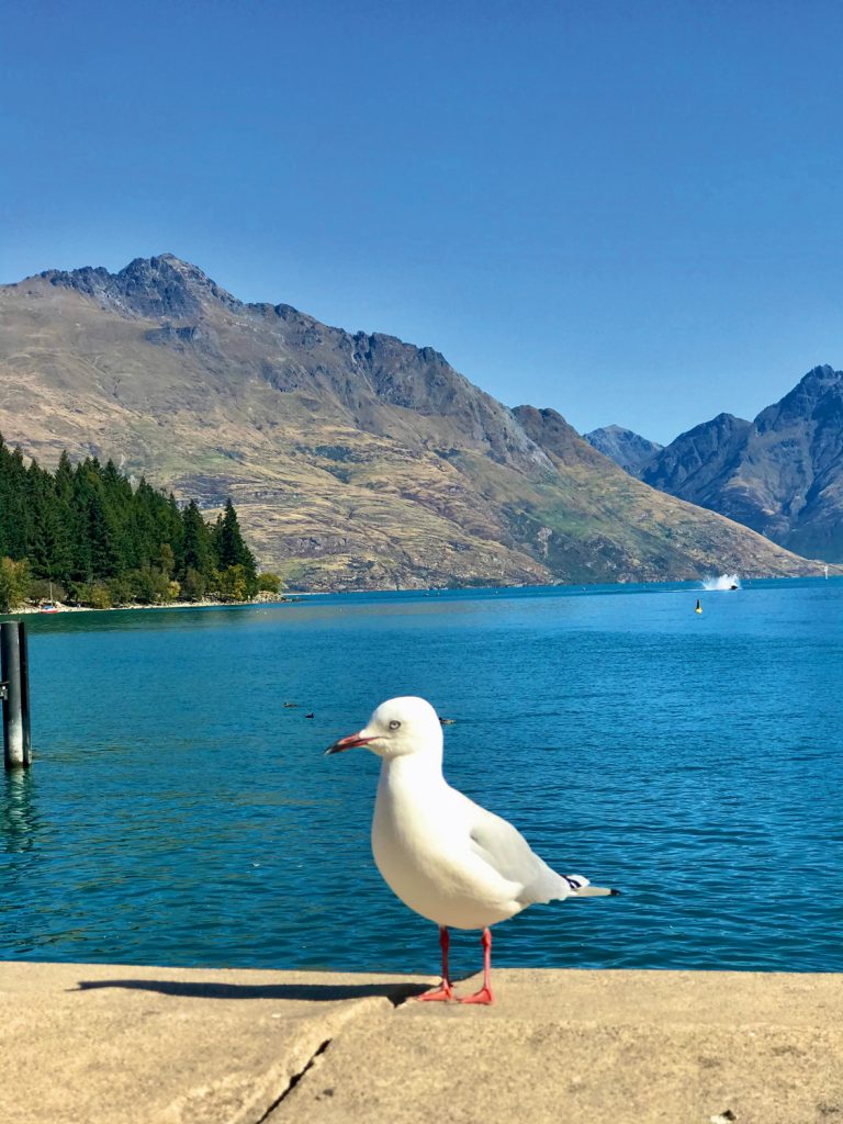 DESTINOS  | UN TRIÁNGULO PERFECTO | AUCKLAND, QUEENSTOWN Y WELLINGTON