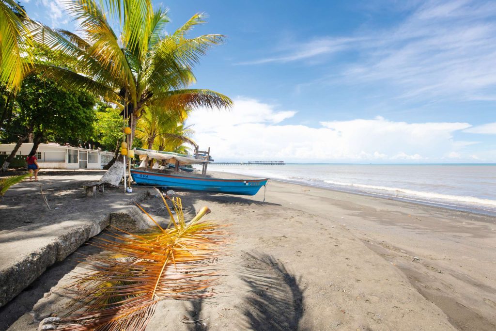 EMPRESARIALES  | NUEVO POLO DE DESARROLLO