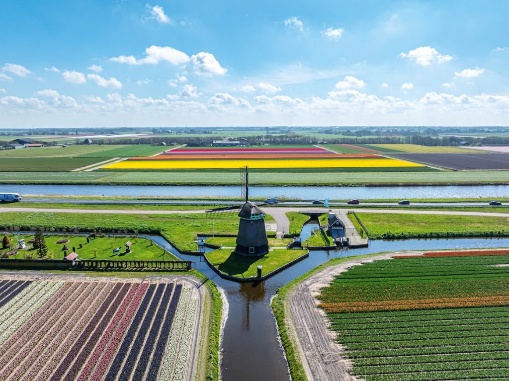 DESTINOS  | PAÍSES BAJOS | Ruta de tulipanes