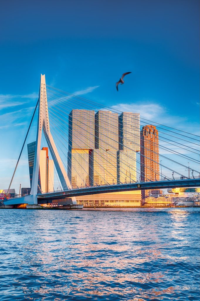 DESTINOS  | PAÍSES BAJOS | Ruta de tulipanes