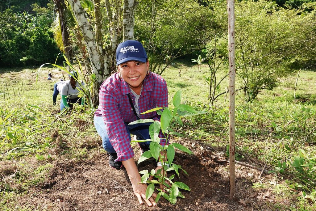 ESPECIALES | Especial rse ESPECIALES | Especial rse