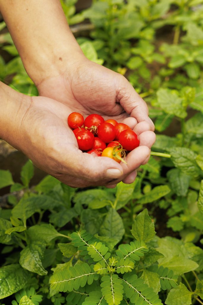 ESPECIALES | Especial rse ESPECIALES | Especial rse