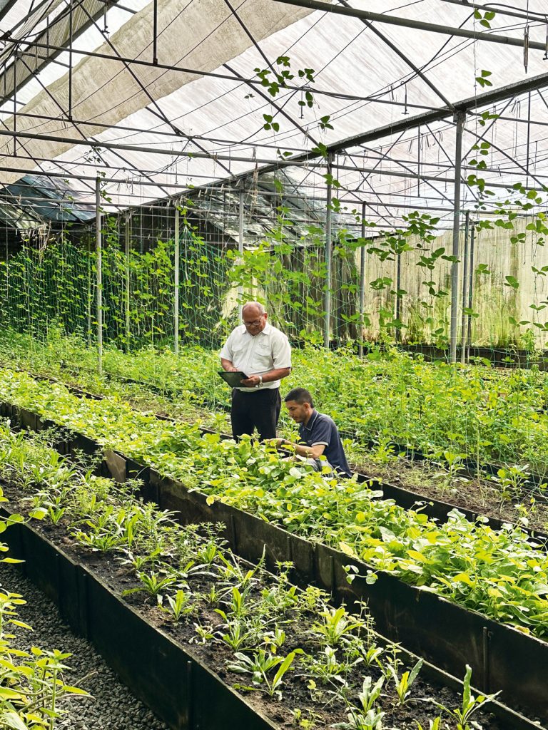 ESPECIALES | Especial rse ESPECIALES | Especial rse