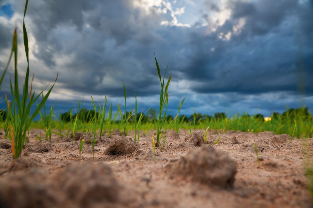 RADAR  | Panamá frente a El Niño