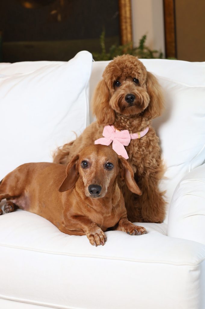 PET'S LIFE | Rebeca Arias, Lucas y Lola PET'S LIFE | Rebeca Arias, Lucas y Lola